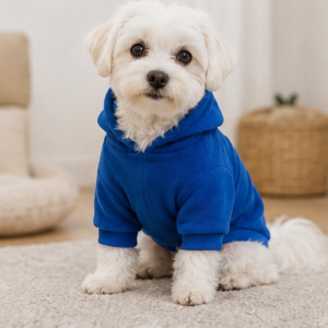 Cozy Fleece Hoodie Test